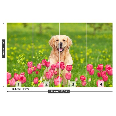 Wallpaper Dog tulips