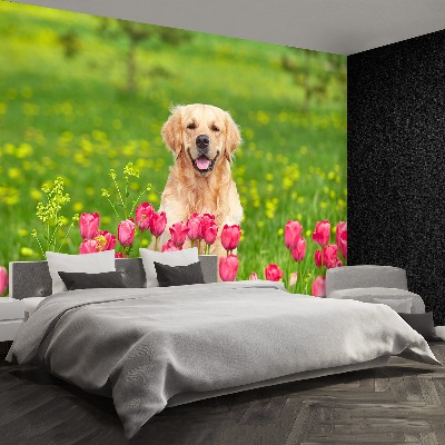 Wallpaper Dog tulips