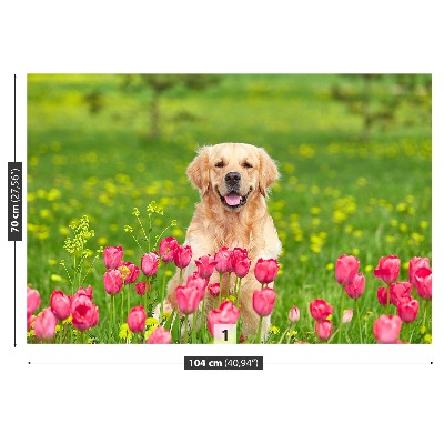 Wallpaper Dog tulips