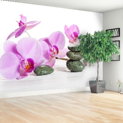 Wallpaper Orchid spa