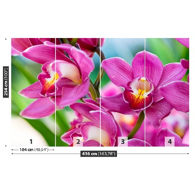 Wallpaper Pink orchids