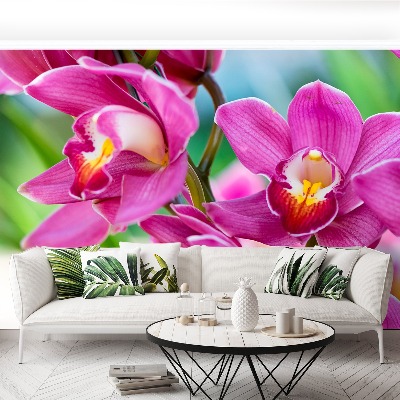 Wallpaper Pink orchids