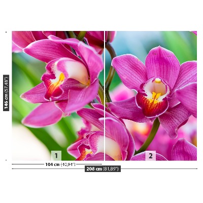 Wallpaper Pink orchids