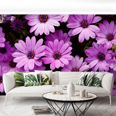 Wallpaper Violet flowers