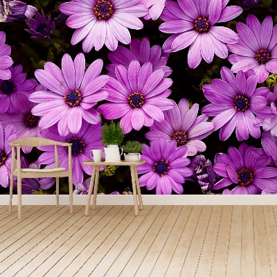 Wallpaper Violet flowers