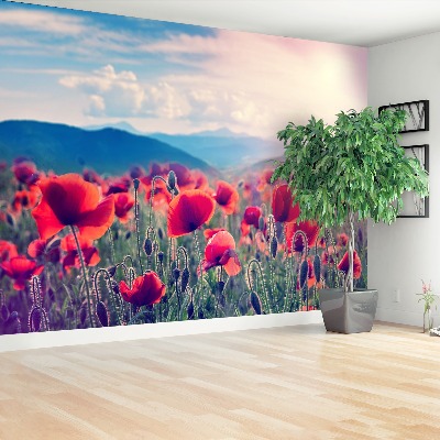 Wallpaper Poppy flowers