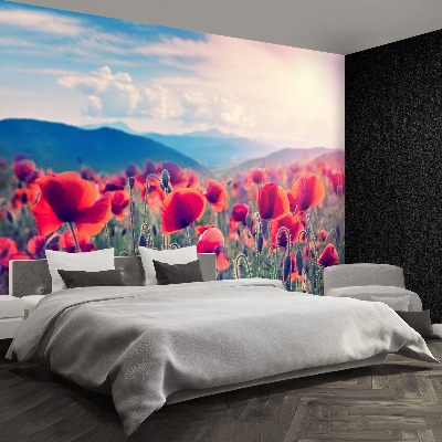 Wallpaper Poppy flowers