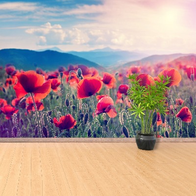 Wallpaper Poppy flowers