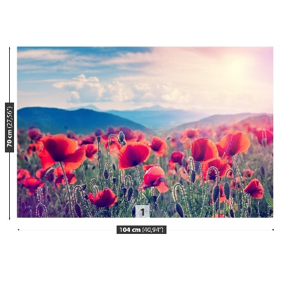 Wallpaper Poppy flowers