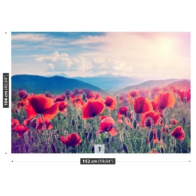 Wallpaper Poppy flowers