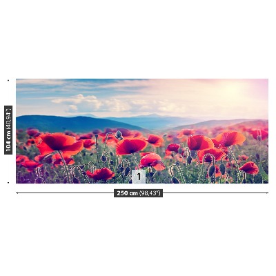 Wallpaper Poppy flowers