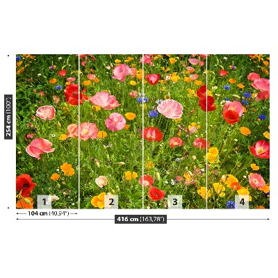 Wallpaper Meadow flowers