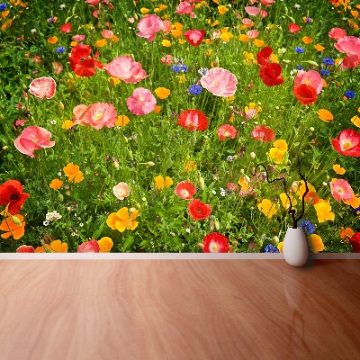 Wallpaper Meadow flowers