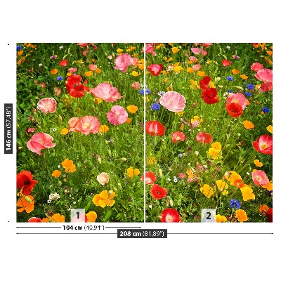 Wallpaper Meadow flowers