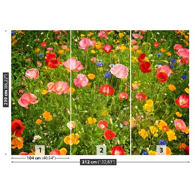 Wallpaper Meadow flowers