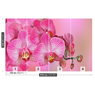 Wallpaper Pink orchid