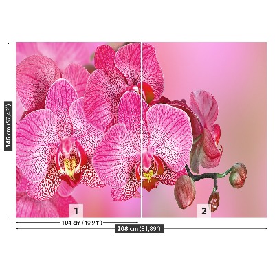 Wallpaper Pink orchid