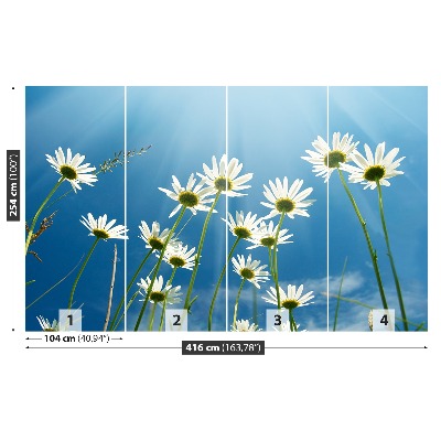 Wallpaper Daisies blue