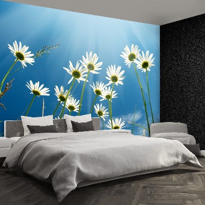 Wallpaper Daisies blue