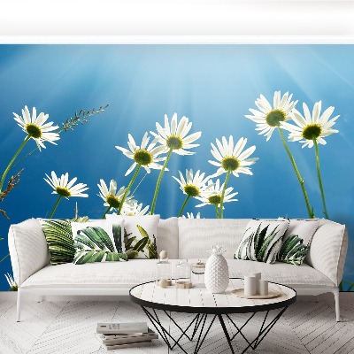 Wallpaper Daisies blue