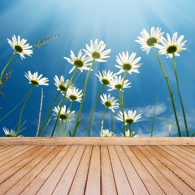 Wallpaper Daisies blue