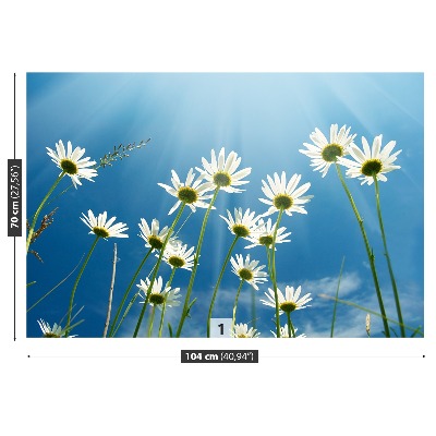 Wallpaper Daisies blue