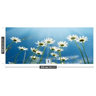 Wallpaper Daisies blue