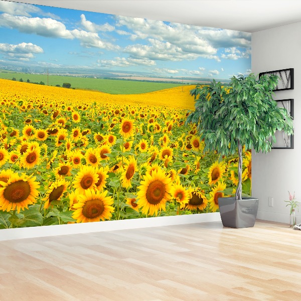 Wallpaper Field of sunflowers