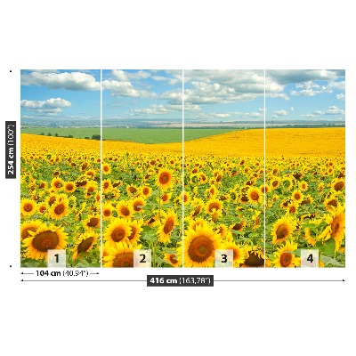 Wallpaper Field of sunflowers