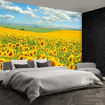 Wallpaper Field of sunflowers