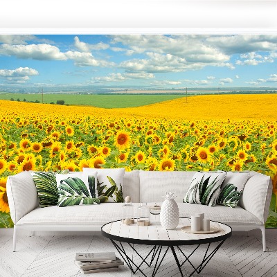 Wallpaper Field of sunflowers