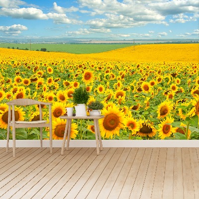 Wallpaper Field of sunflowers