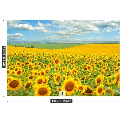 Wallpaper Field of sunflowers