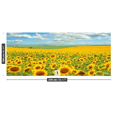 Wallpaper Field of sunflowers