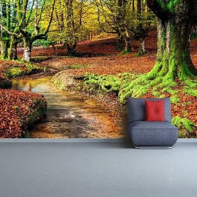 Wallpaper Autumn forest