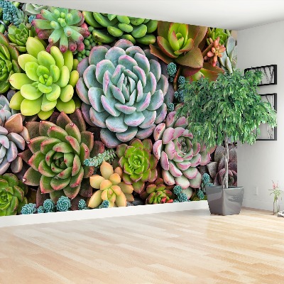 Wallpaper Rock garden plants