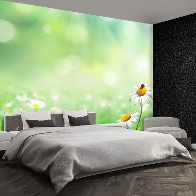 Wallpaper Green camomile