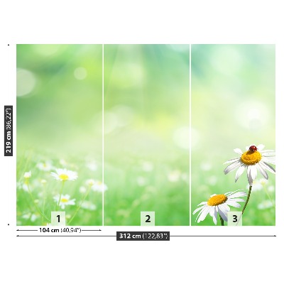 Wallpaper Green camomile