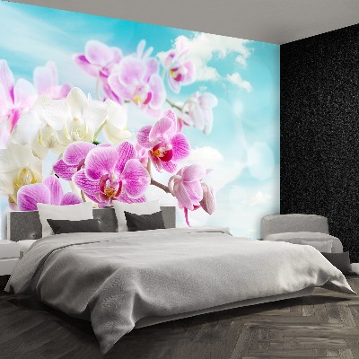 Wallpaper Orchids blue