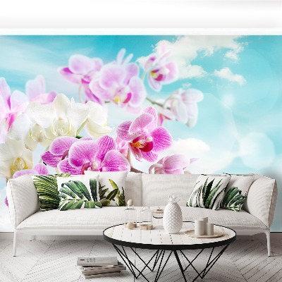 Wallpaper Orchids blue