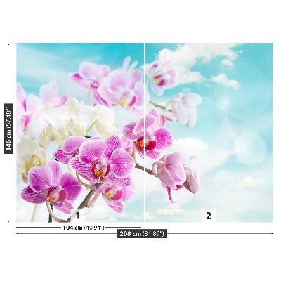 Wallpaper Orchids blue