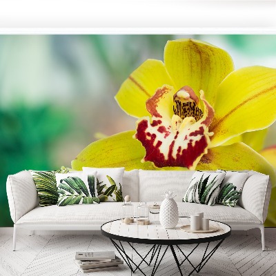 Wallpaper Yellow orchid