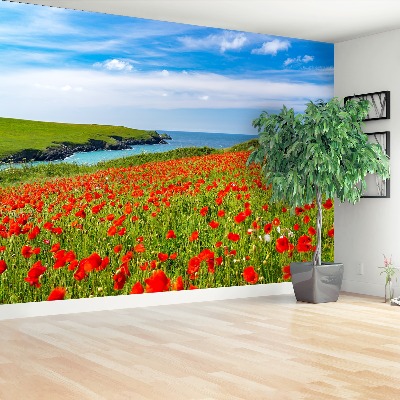 Wallpaper Field of poppies