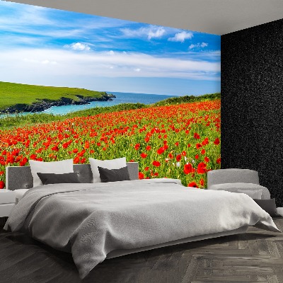 Wallpaper Field of poppies