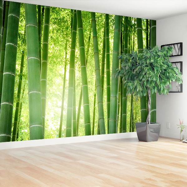 Wallpaper Bamboo forest