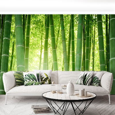 Wallpaper Bamboo forest