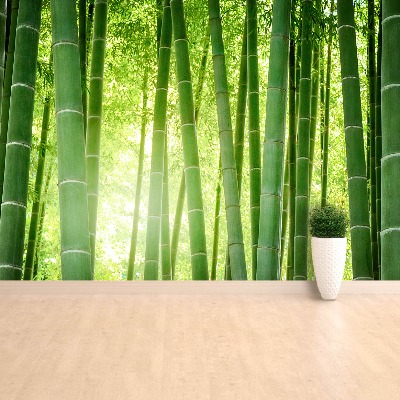 Wallpaper Bamboo forest