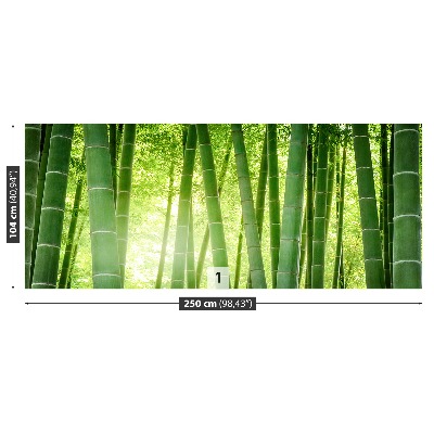 Wallpaper Bamboo forest