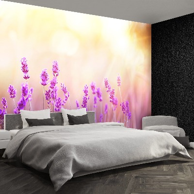 Wallpaper Golden lavender