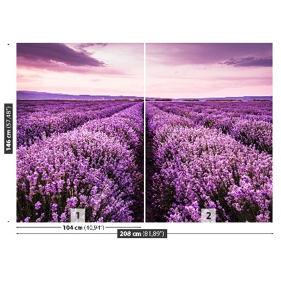 Wallpaper Blooming lavender